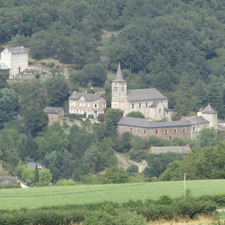 Saint-Just-sur-Viaur Gite L'0Livier Avec Piscine En Aveyron 빌라 외부 사진