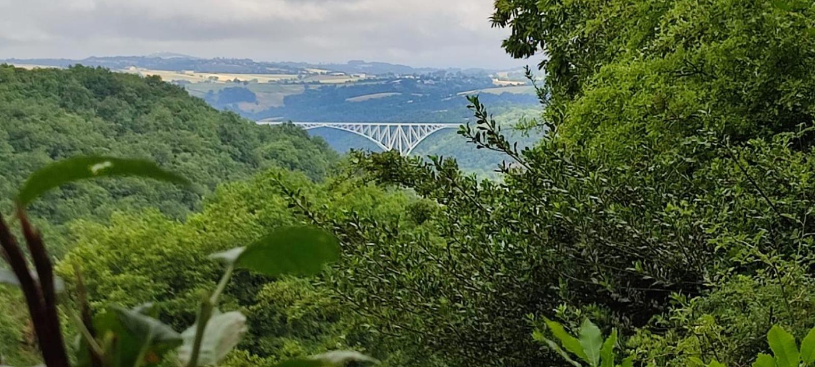 Saint-Just-sur-Viaur Gite L'0Livier Avec Piscine En Aveyron 빌라 외부 사진