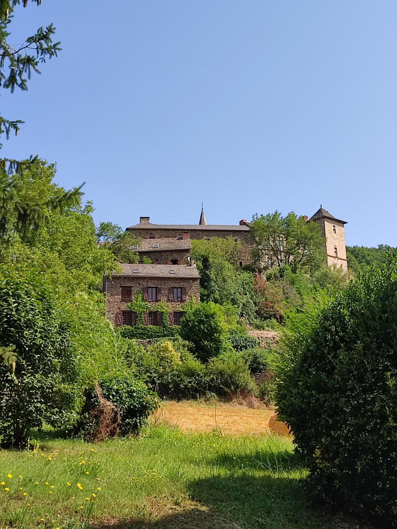 Saint-Just-sur-Viaur Gite L'0Livier Avec Piscine En Aveyron 빌라 외부 사진